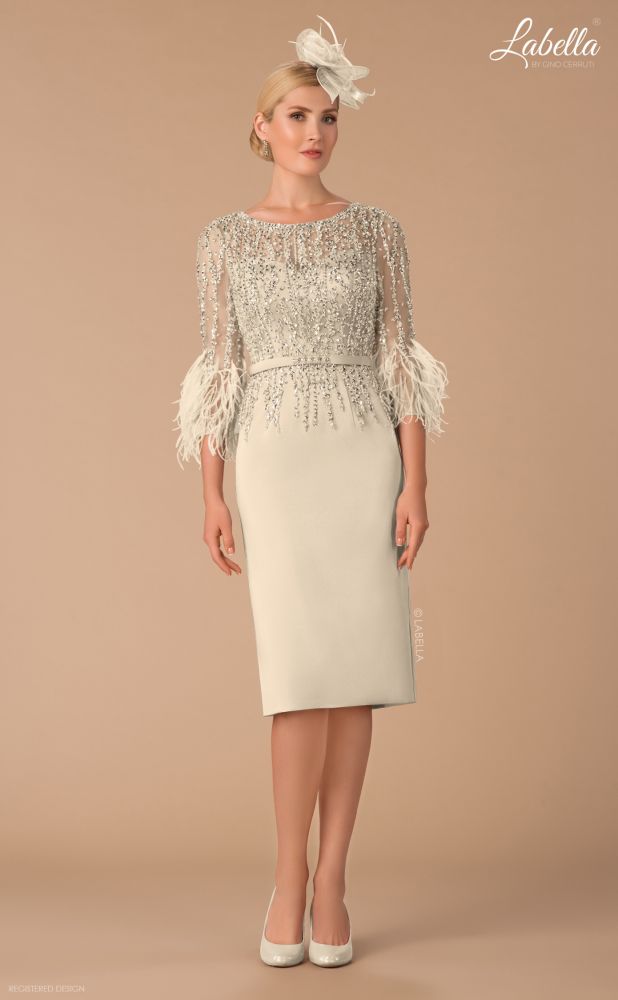 Champagne Feather Sleeve Dress Mother of the Bride