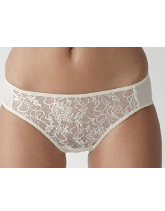 Kate Brief